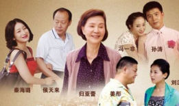 电视剧丈母娘,家庭和谐的守护者